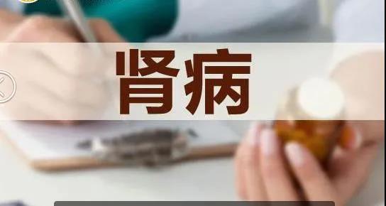 关于膜性肾病与系膜增生性肾病的治疗用药!