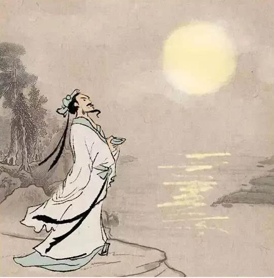 中药故事分享:【木香】它有哪些药用功效?收藏!