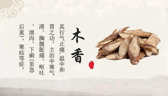 中药故事分享:【木香】它有哪些药用功效?收藏!