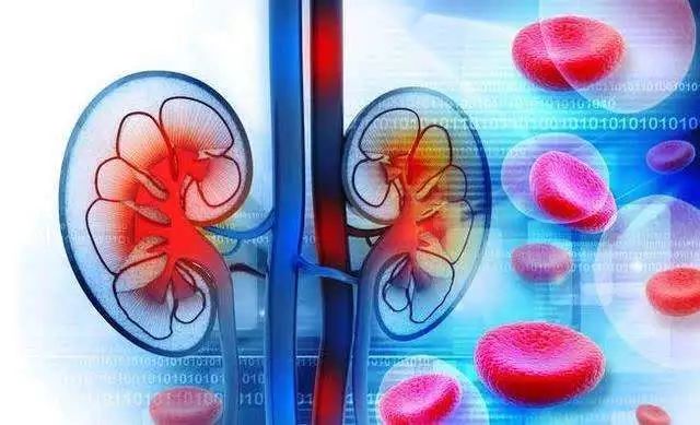 肾功能不全患者的营养问题究竟该怎样做?
