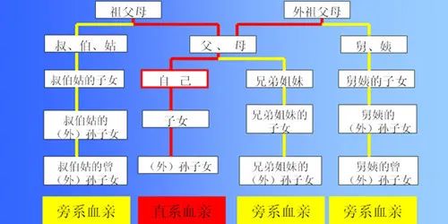 答疑解惑:慢性肾小球肾炎会不会遗传,遗传性肾病能不能生出健康的孩子?