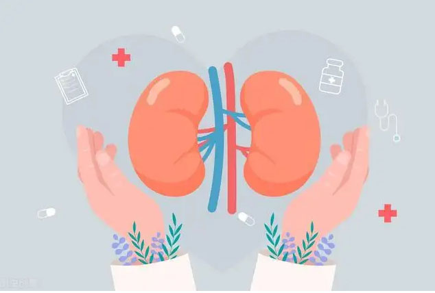 肾病健康知识:关于肾病综合症日常护理注意些什么?
