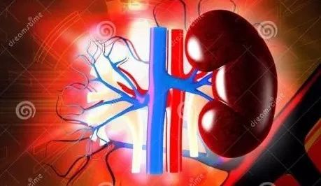 关于肾病是怎样导致的?免疫复合物是怎样形成以及如何用药?