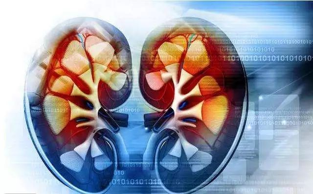 发现肾病一定要及时治疗!避免这四个问题的发生
