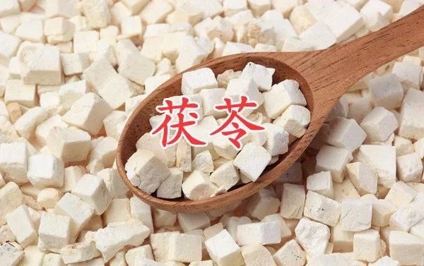 治肾先治脾!说说肾病和脾有什么关系?