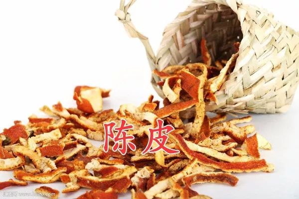 治肾先治脾!说说肾病和脾有什么关系?