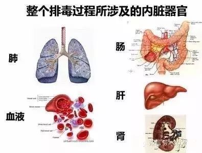 人吃五谷杂粮,如何做到少生病?(附带建议)
