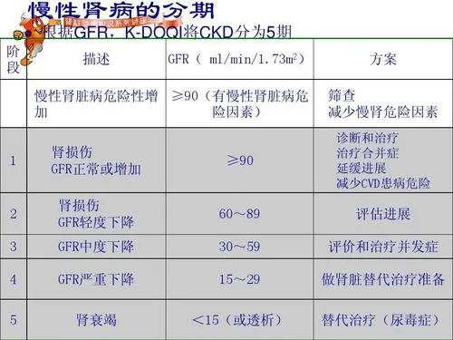 注意啦!这些人群特别容易患上肾病!
