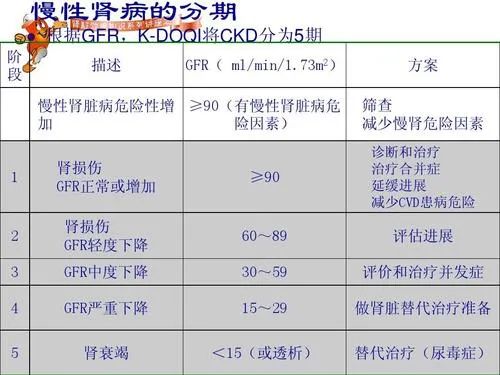 注意啦！这些人群特别容易患上肾病！