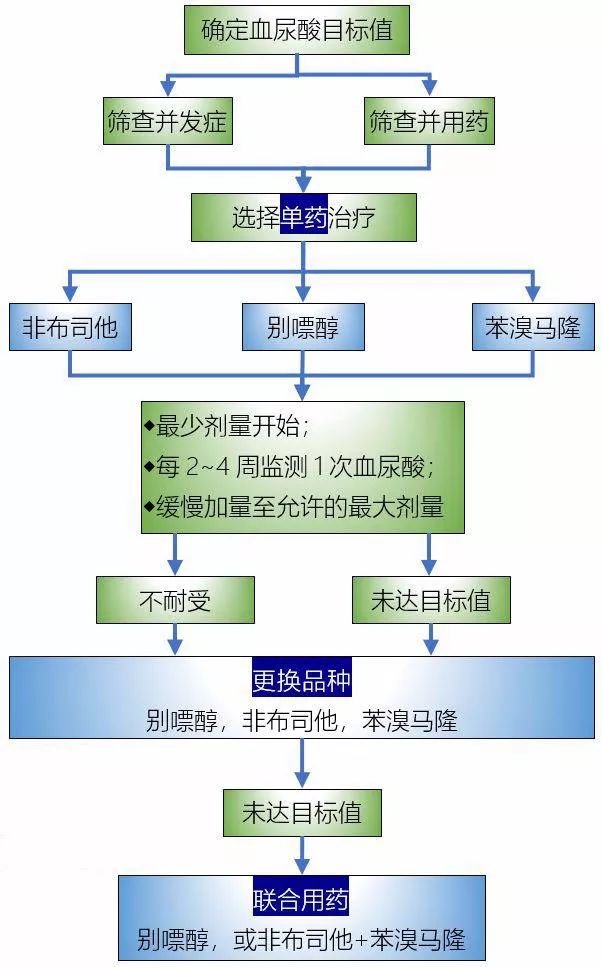 常用降尿酸药：别嘌醇、非布司他和苯溴马隆的区别及注意事项