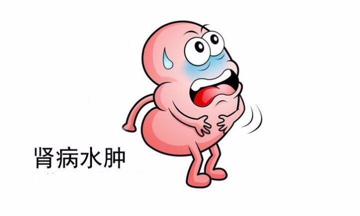 肾病水肿可以喝水吗?是否可以通过食物补充白蛋白?