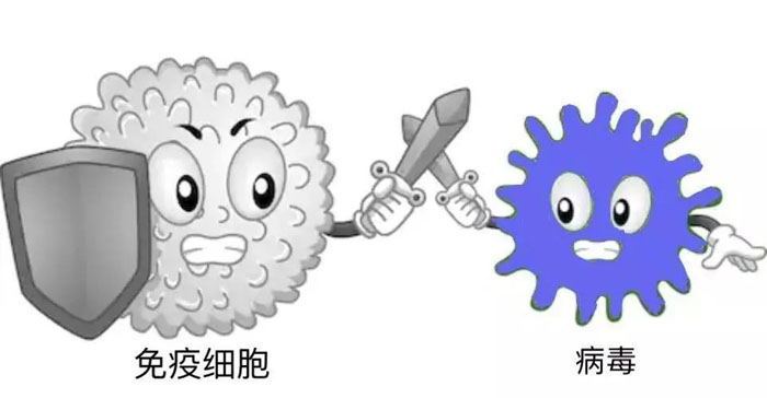 肾病健康知识分享:肾病的病因与肾病的形成
