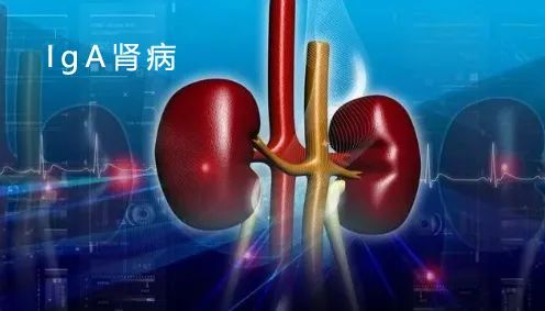 肾病健康知识分享:关于肾病的西医分型与中药治疗!