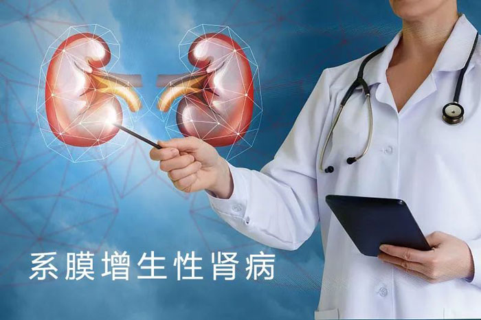 肾病健康知识分享:关于肾病的西医分型与中药治疗!