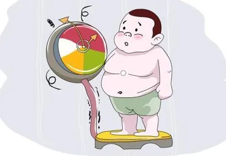 肾病治疗为何要健脾?怎样做才能健脾养脾?
