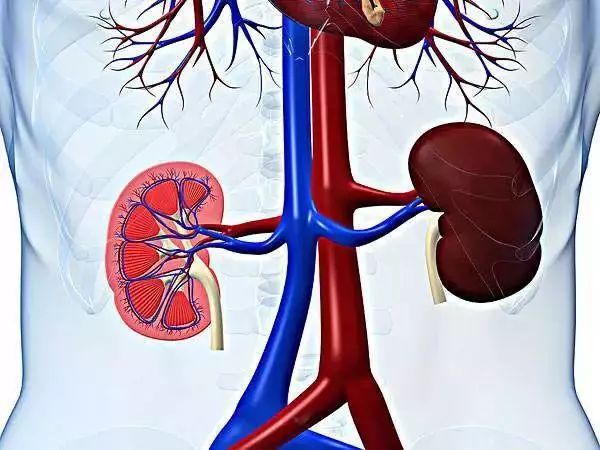 肾病健康知识分享:注意!伤肾行为排行榜!你中招了吗?