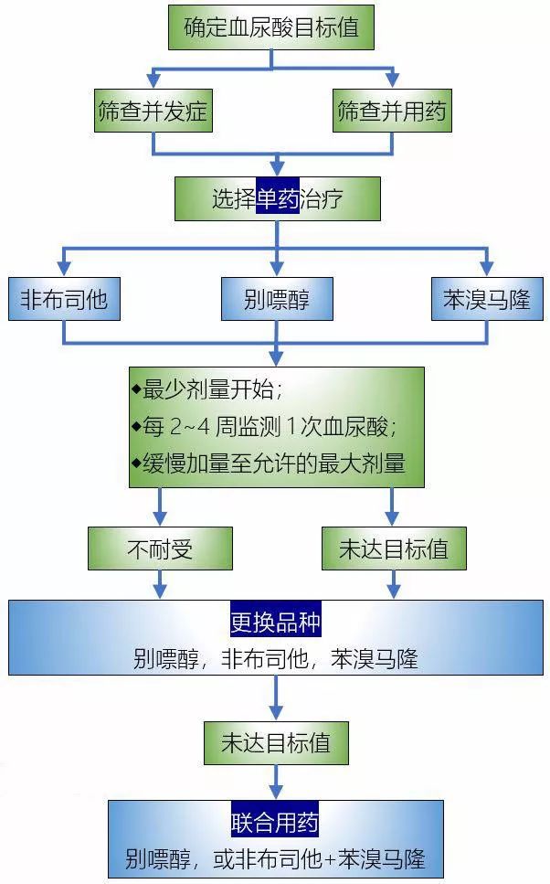 常用降尿酸药:别嘌醇、非布司他和苯溴马隆的区别以及注意事项有哪些?