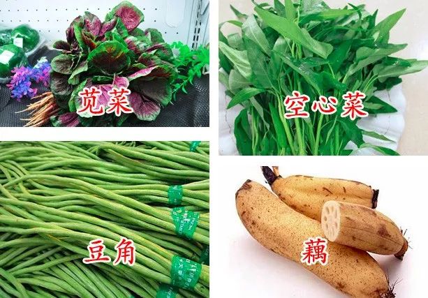 分享:关于肾病治疗,如何忌口?您知道吗?