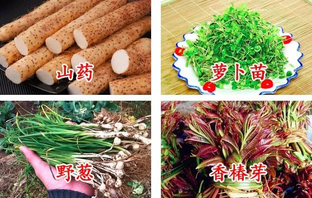分享:关于肾病治疗,如何忌口?您知道吗?