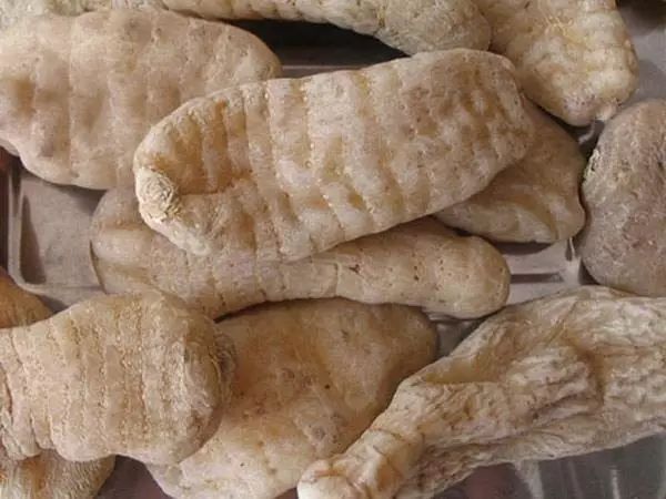 中药故事分享:【天麻】它有哪些药用功效?