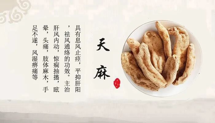 中药故事分享:【天麻】它有哪些药用功效?