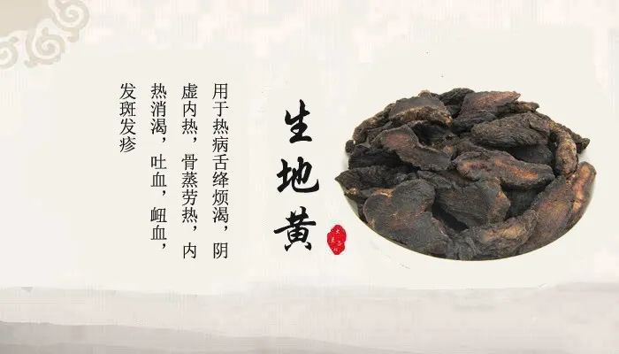 中药故事分享:【生地黄】它有哪些药用功效?