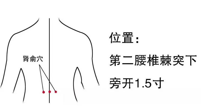 肾病健康知识分享：【隔姜灸】慢性肾炎患者非药物治疗法~~