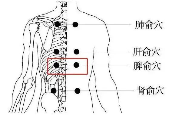 肾病健康知识分享：【隔姜灸】慢性肾炎患者非药物治疗法~~