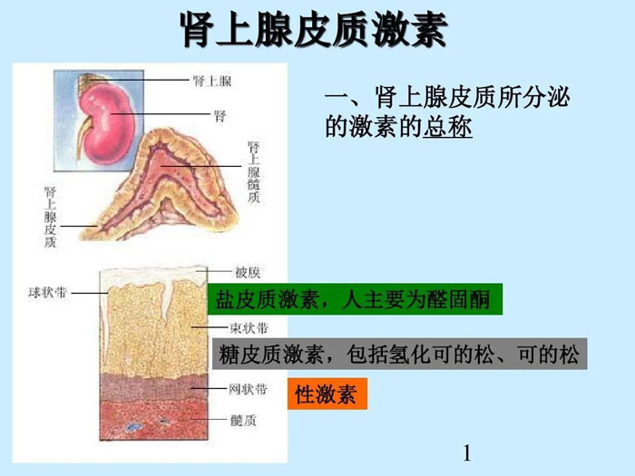 服用激素后的毒副作用，怎样做才可以消除？