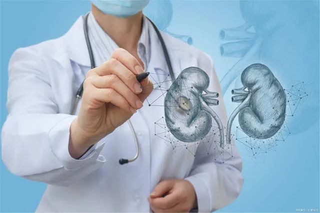 肾病究竟能否逆转?看完这篇文章应该会对你有所帮助~~