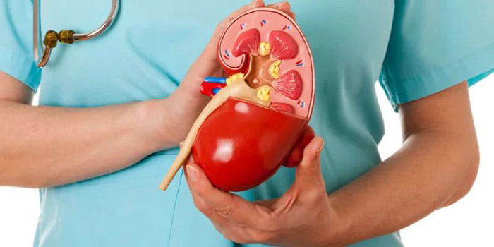 肾病究竟能否逆转?看完这篇文章应该会对你有所帮助~~