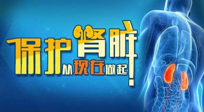 肾病健康知识分享:肾病治疗过程中该怎样激活补体酶?