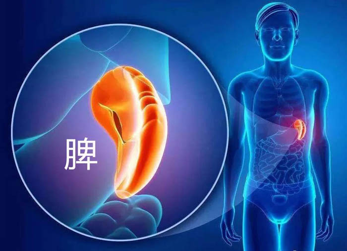 肾病健康知识分享:肾病治疗过程中该怎样激活补体酶?