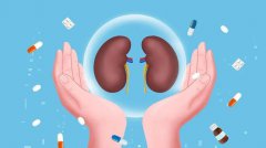 肾病健康知识分享：IgA肾病的病因病理治疗以及