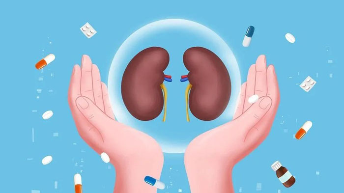 肾病健康知识分享:IgA肾病的病因病理治疗以及护理保养