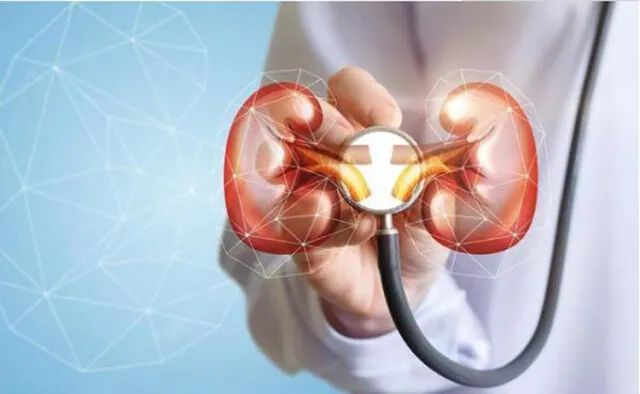 肾病健康小知识:什么是肾病综合症?怎样治疗?