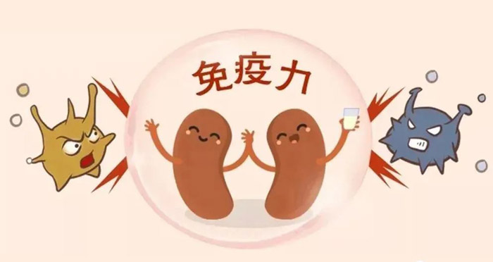 浩仁堂:中医与西医对肾病的探寻!